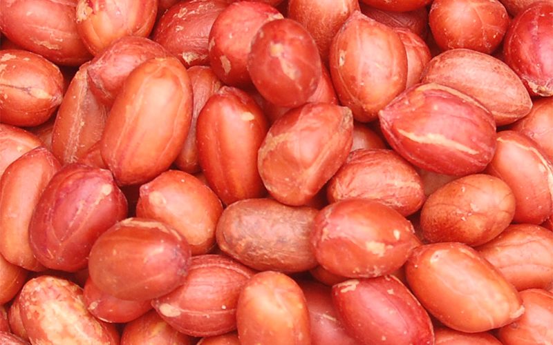 ROASTED-PEANUT-WITH-SKIN